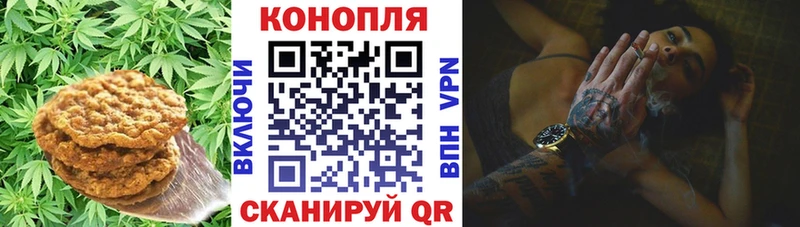 Cannafood конопля  МЕГА онион  Выборг 